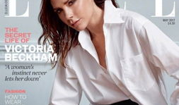 麻豆迅雷,高效下载，畅享网络资源新体验